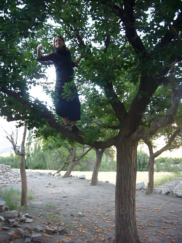Travel - India - Ladakh - Trip to Alchi - Alchi